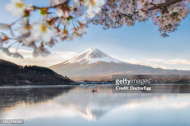 fuji mountain reflection with sakura branches at kawaguchiko lake in spring - mount fuji stock pictures, royalty-free photos & images
