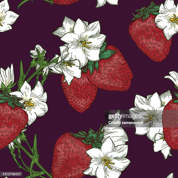 summer strawberry and clematis seamless floral pattern - clematis stock illustrations