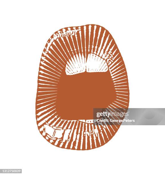 vector engraving of open mouth singing and talking - brown makeup stock illustrations