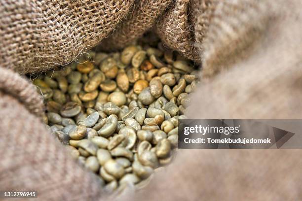 coffee beans - rohe kaffeebohne stock-fotos und bilder
