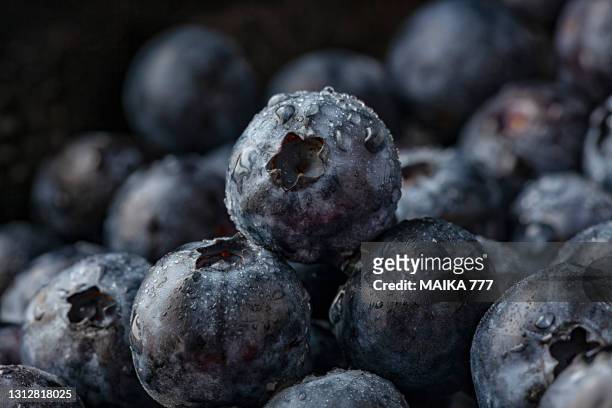 extreme close-up of fresh blueberries covered with water drops - food photography dark background blue imagens e fotografias de stock