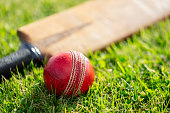 Cricket bat and ball on cricket pitch