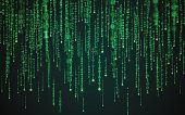Matrix background. Binary code texture. Falling green numbers. Data visualization concept. Futuristic digital backdrop. One and zero digits. Computer screen template. Vector illustration