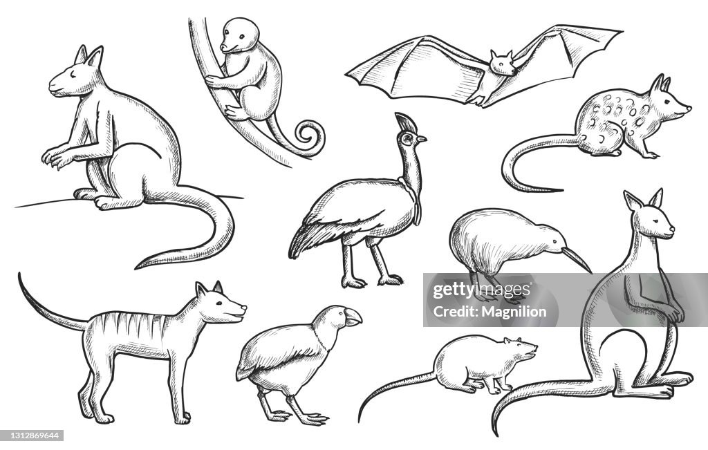 Wild Animals Doodle set