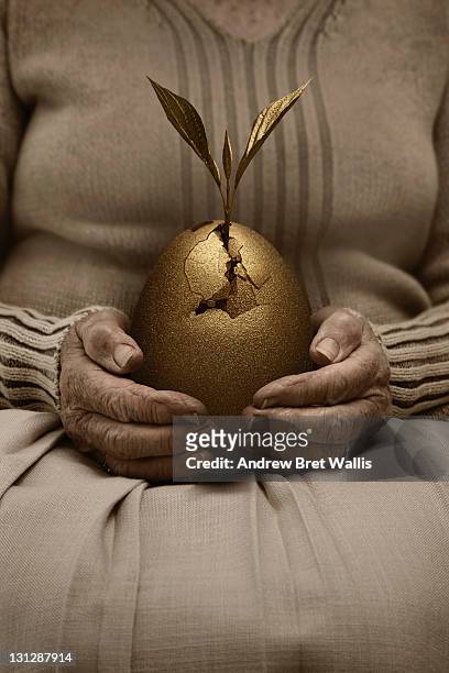 senior woman holds hatching golden egg in her lap - golden egg stock pictures, royalty-free photos & images