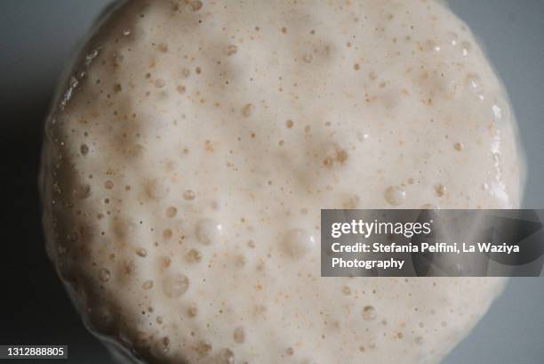 sourdough starter - yeast stock pictures, royalty-free photos & images