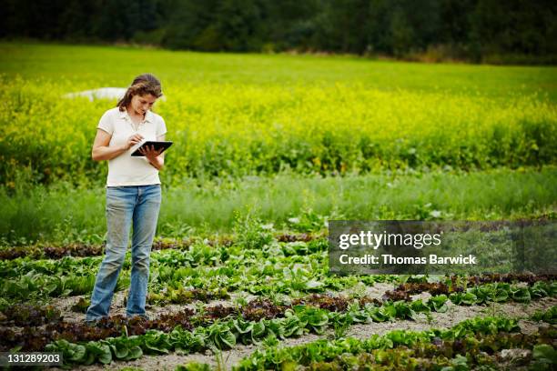 farmer recording inventory on digital tablet - crop plant stock-fotos und bilder
