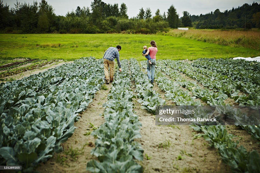 Farmers walking holding baby walking in field