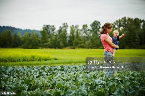 female farmer holding baby boy in farm field - cruciferae stockfoto's en -beelden