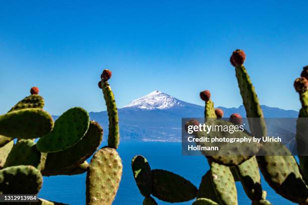 elevated view of pico del teide on tenerife, canary islands, spain - pico de teide stock-fotos und bilder