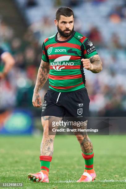 Adam Reynolds of the Rabbitohs celebrates after scoring a 2 point field goal during the round six NRL match between the South Sydney Rabbitohs and...