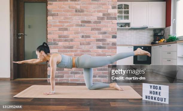 yoga home workout, bird dog pose - hunting dog stock pictures, royalty-free photos & images