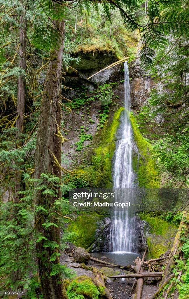 Marymere Falls in Olympic National Park near Lake Crescent