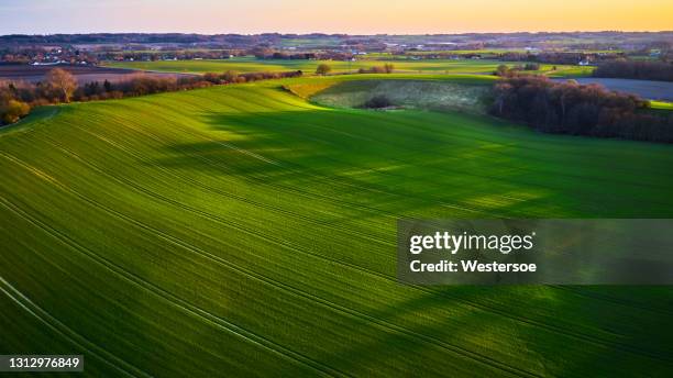 champ agricole - paysage agricole photos et images de collection