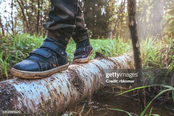 close-up of child's feet in shoes crossing a forest stream along a tree trunk. the concept of solo walks with a pole in woodland - hiking pole photos et images de collection