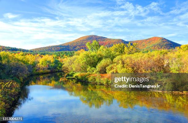 herbst in den berkshires bei williamstown - verwaltungsbezirk berkshire county stock-fotos und bilder