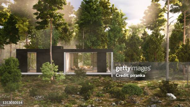 自然の中の小さな家 - eco house ストックフォトと画像