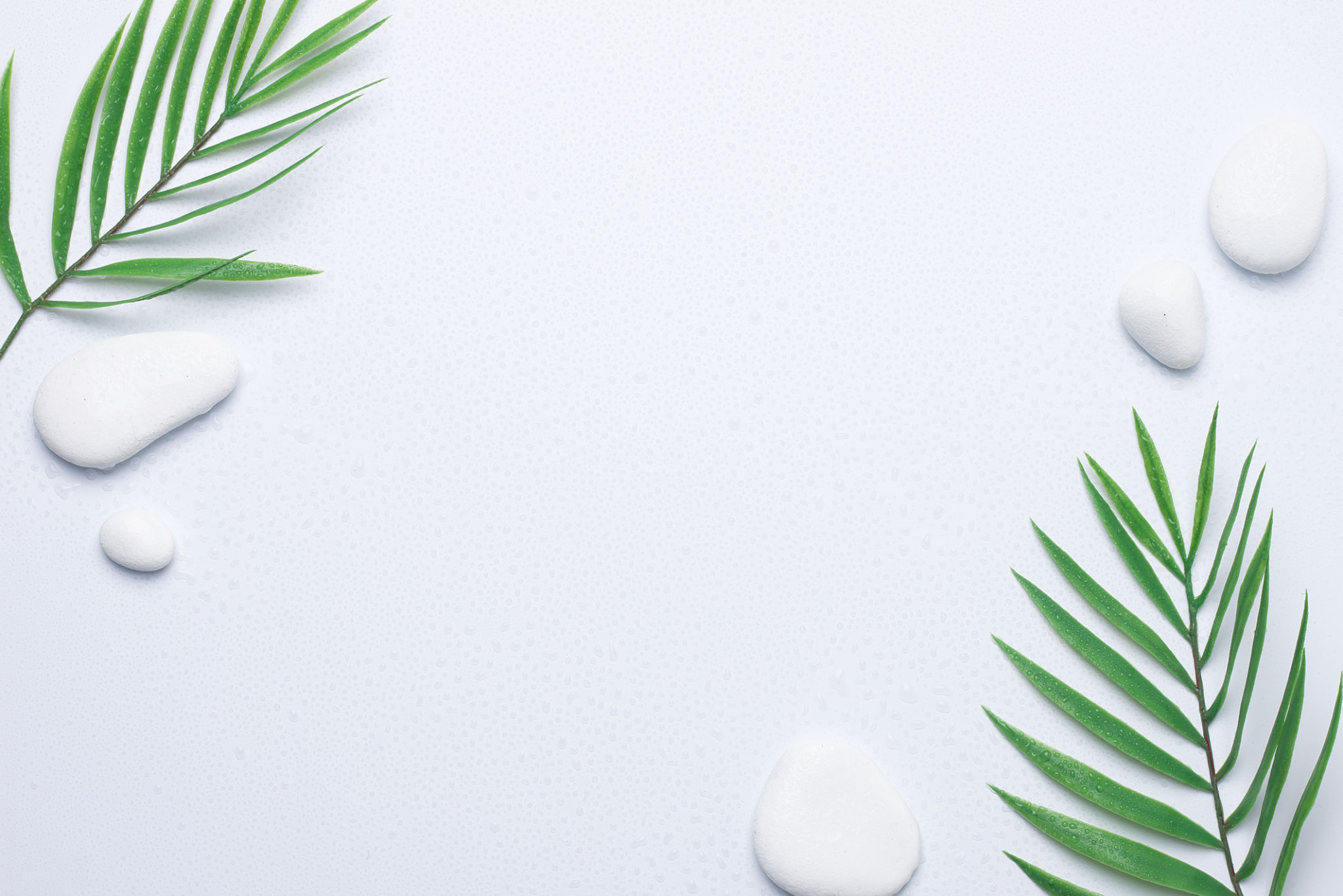 tropical toiletries