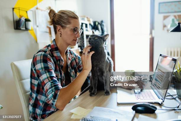 Cat Using Computer Funny Photos and Premium High Res Pictures - Getty ...
