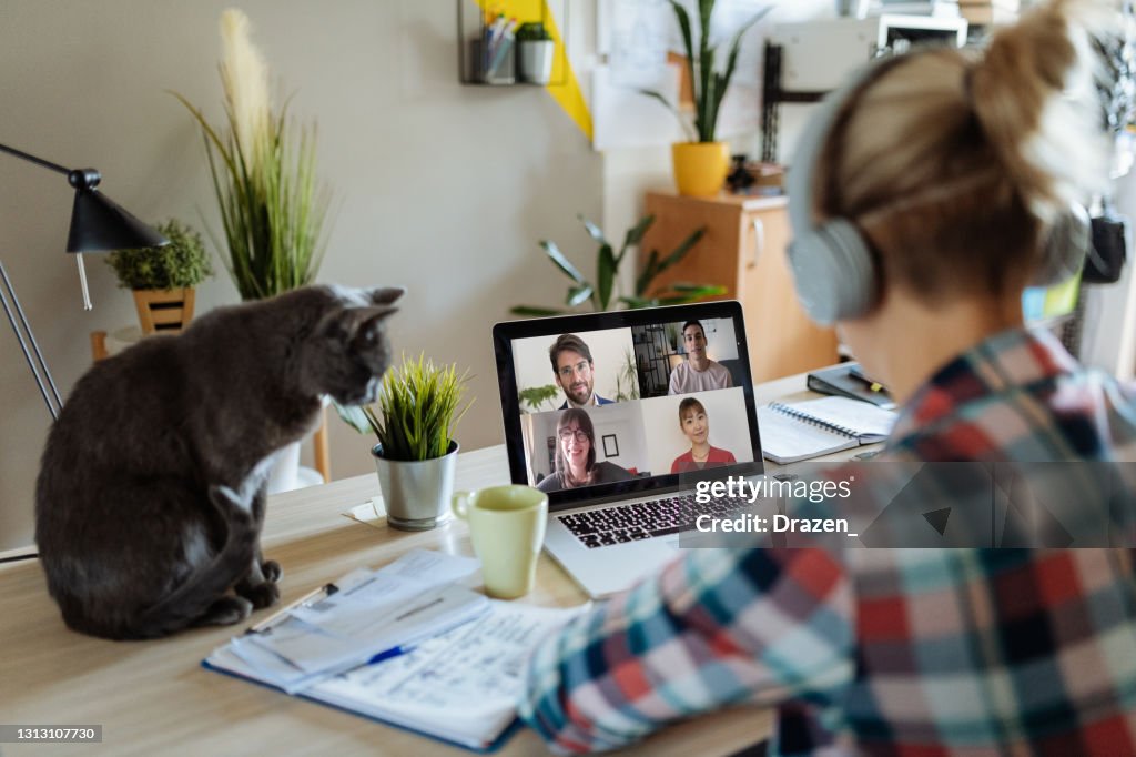 Millennial Frau arbeitet auf Laptop, während ihre Katze unterbricht