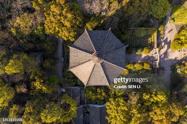 aerial view of liuheta culture park, liuhe tower in hangzhou, china - casa de jardim ou parque - fotografias e filmes do acervo