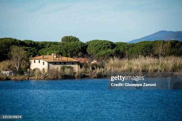 lake of orbetello - orbetello 個照片及圖片檔