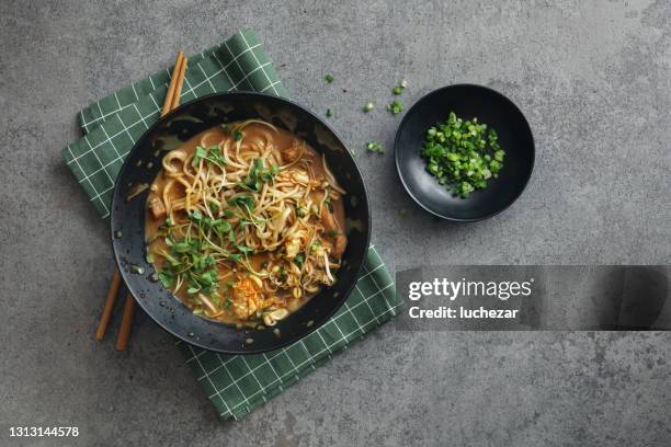 sopa china de fideos de pollo - sopa de pollo con fideos fotografías e imágenes de stock