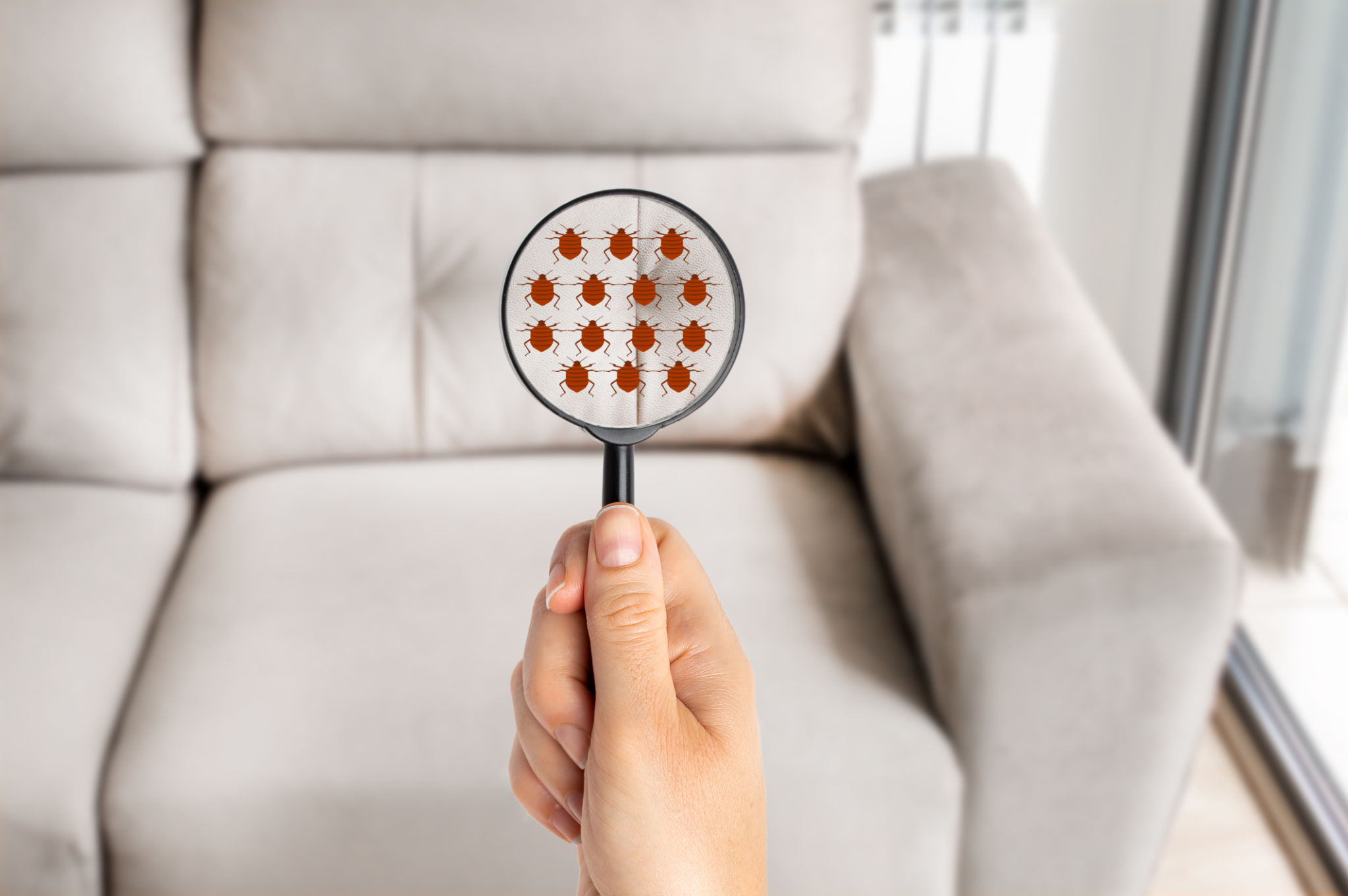 choosing pest control