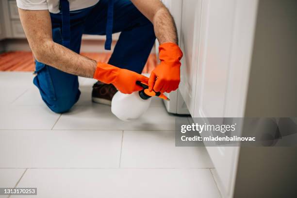 exterminator - rodent control stock pictures, royalty-free photos & images