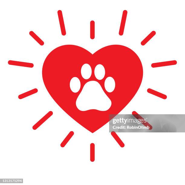 Ilustraciones de Derechos De Los Animales - Getty Images Ilustraciones de Derechos De Los Animales - Getty Images