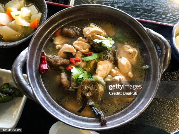chicken stewed with dried wild honey fungus (armillaria mellea), famous manchurian dish in china - chili soup stock pictures, royalty-free photos & images