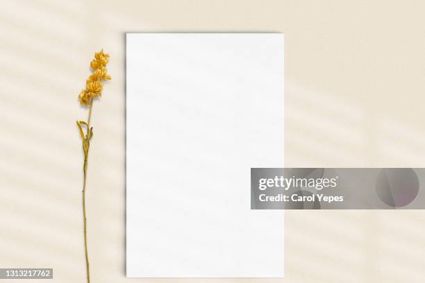 vertical paper sheet on beige background with orange flower.template.mockup - white flower paper stock pictures, royalty-free photos & images