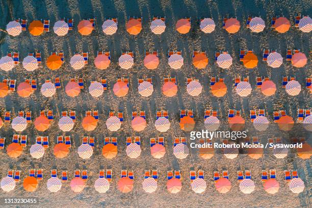 beach umbrellas in rows from above, puglia, italy - strandschirm stock-fotos und bilder