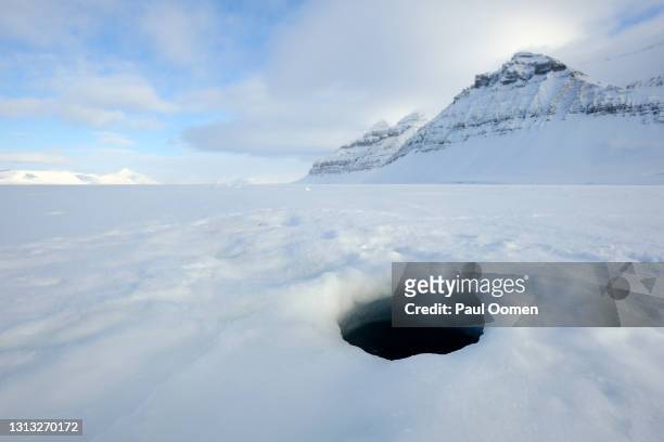 seal breathing hole in a frozen fjord. - breathing hole stock pictures, royalty-free photos & images