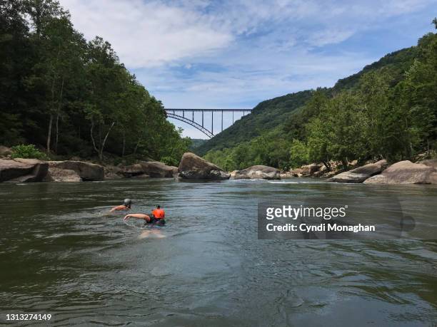 friends swimming in the new river gorge on a white water rafting trip - ウェストバージニア州 ストックフォトと画像