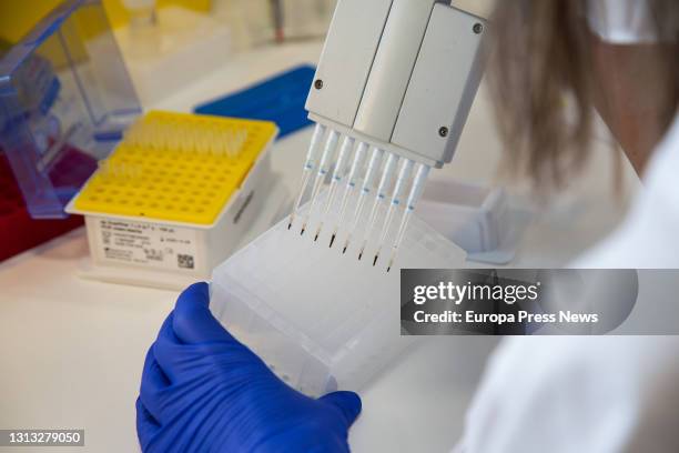 Researcher works in the Microbiology laboratory of the University Hospital of Badajoz, on April 15, 2021. In this laboratory they carry out the...