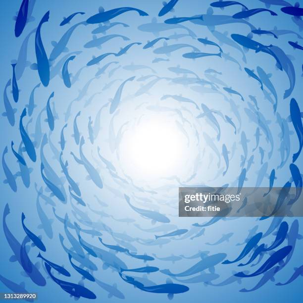 436 Ilustraciones de Banco De Peces - Getty Images 436 Ilustraciones de Banco De Peces - Getty Images