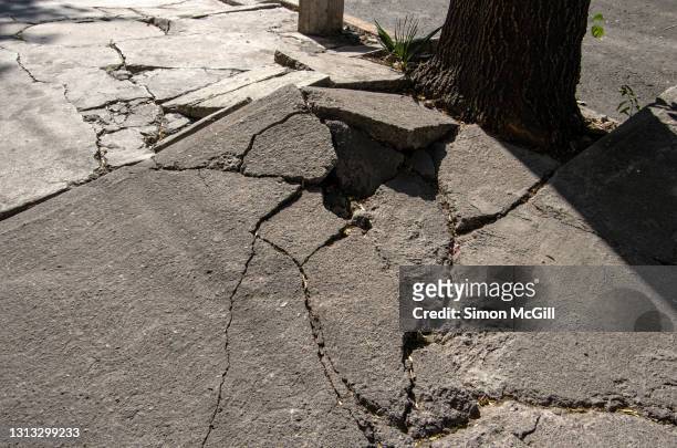 concrete sidewalk cracked by tree roots in a city street - bumpy stockfoto's en -beelden