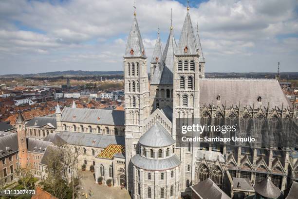 aerial view of tournai cathedral - hainaut 個照片及圖片檔