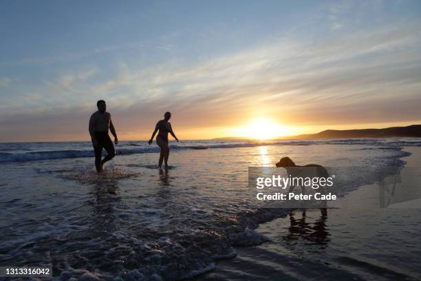 couple on beach at sunset with dog - couple sunset beach stock pictures, royalty-free photos & images