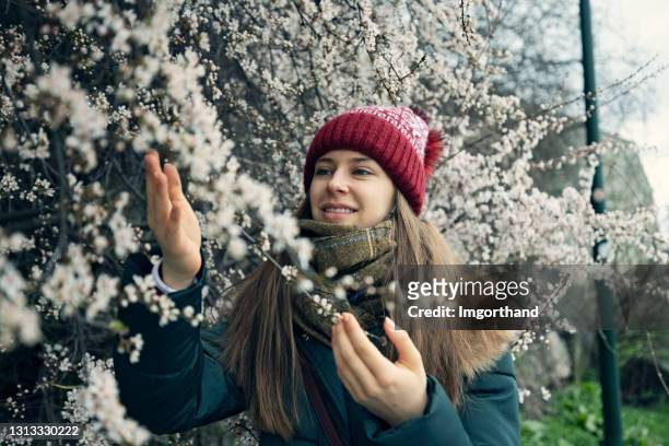 teenage girl enjoying spring flowers on hawthorn bush. - hawthorn,_victoria stock pictures, royalty-free photos & images