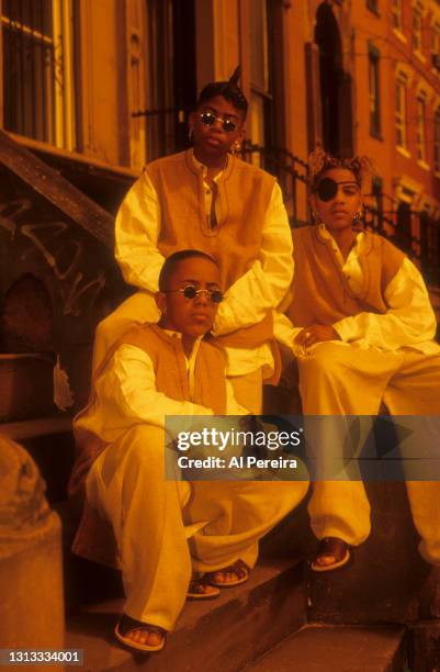 Group Immature appear in a portrait taken on May 10, 1994 in Brooklyn, New York.