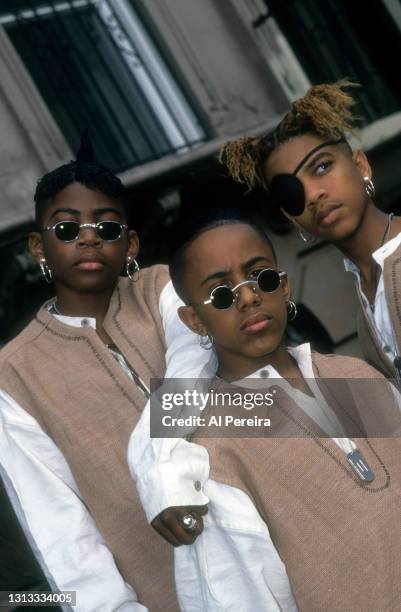 Group Immature appear in a portrait taken on May 10, 1994 in Brooklyn, New York.