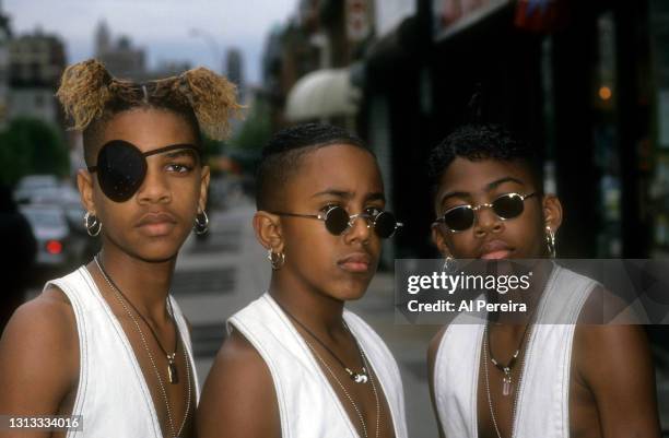 Group Immature appear in a portrait taken on May 10, 1994 in Brooklyn, New York.