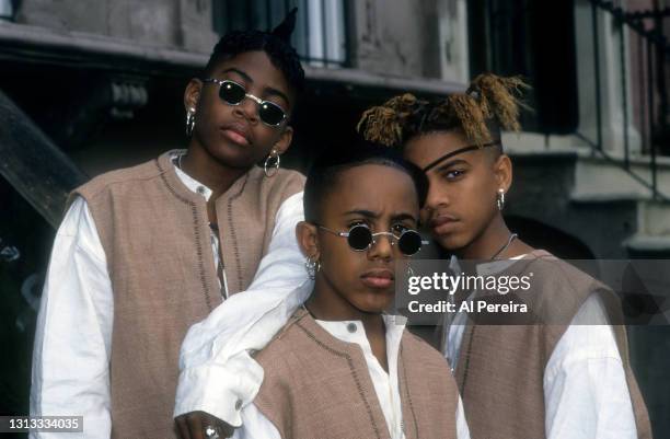 Group Immature appear in a portrait taken on May 10, 1994 in Brooklyn, New York.