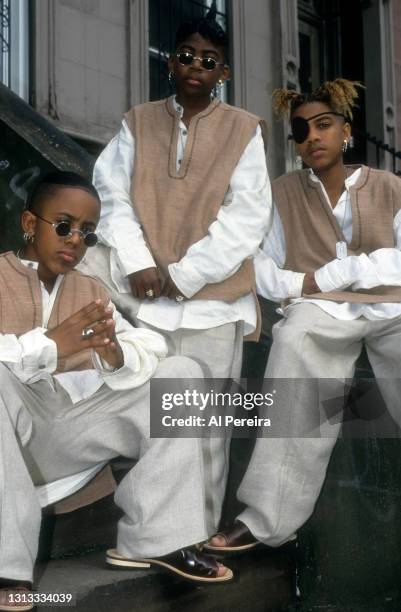 Group Immature appear in a portrait taken on May 10, 1994 in Brooklyn, New York.