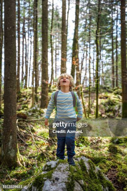 kleiner junge mit spaß wandern die wälder - discovery bags walking stock-fotos und bilder