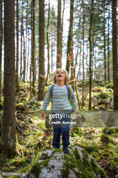 little boy having fun wandering the woods - discovery bags walking stock pictures, royalty-free photos & images