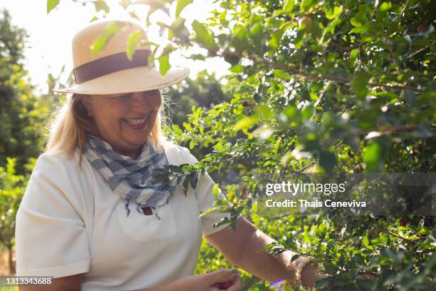 portret van mooie hogere vrouw - acerola stockfoto's en -beelden