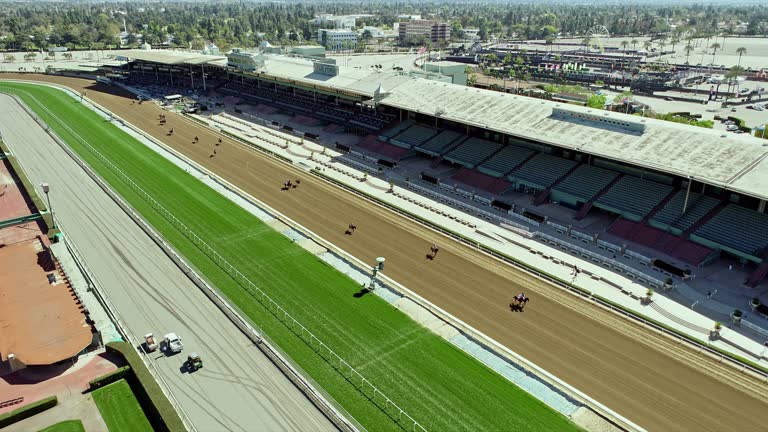 Phoenix Racing Stands 47 Famous Horse Racing Grandstand Stock Videos, Footage, & 4K Video ...